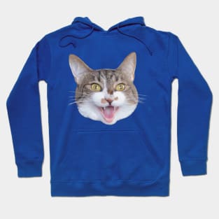 Screaming Lady Byng the Cat Hoodie